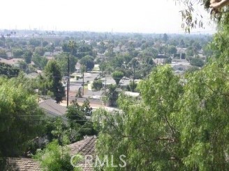 Olive Heights - Residential