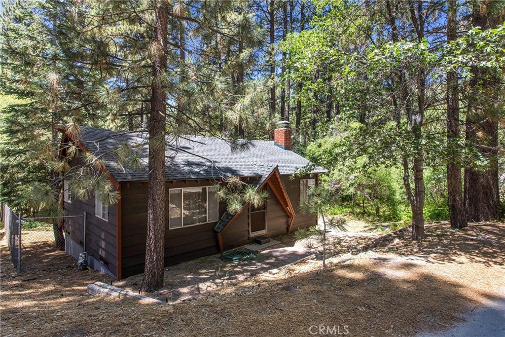 33471 Weeping Willow