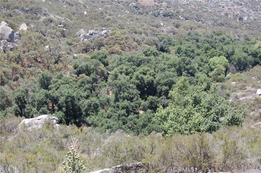5 Acres at a very affordable price. Surround yourself with nature, oak trees, and wildlife. with Riverside county conservation land to the South and to the West. Build your dream here.