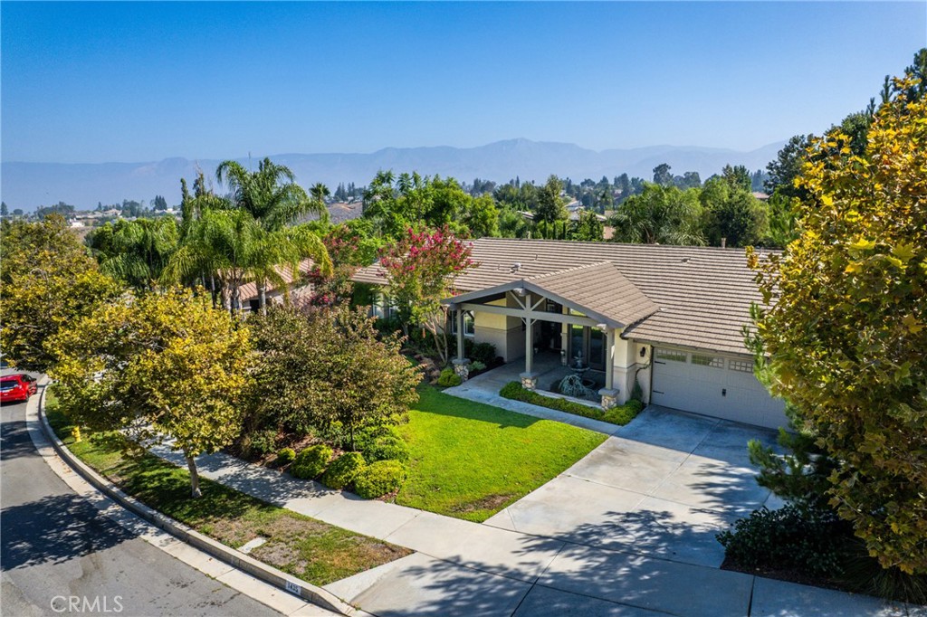 1435 Patricia Drive