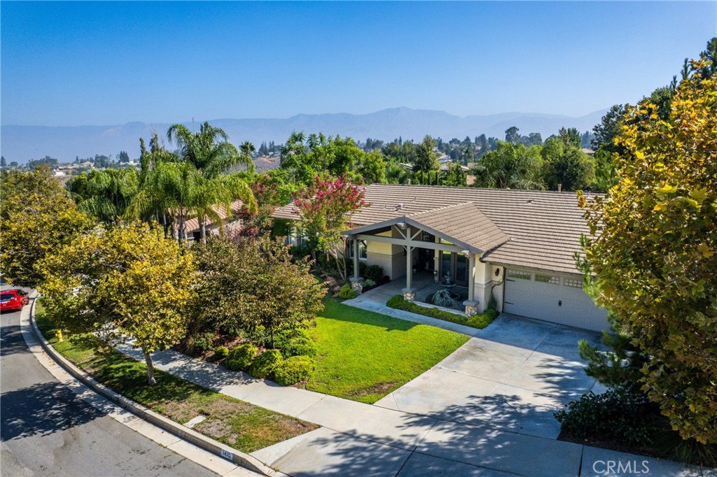 1435 Patricia Drive