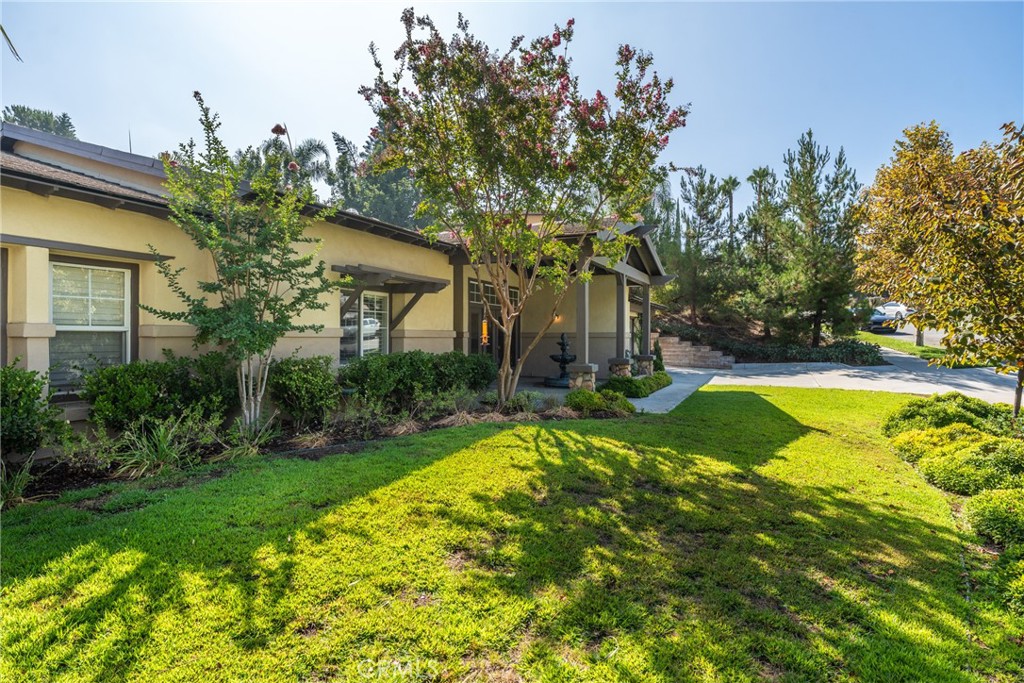 1435 Patricia Drive