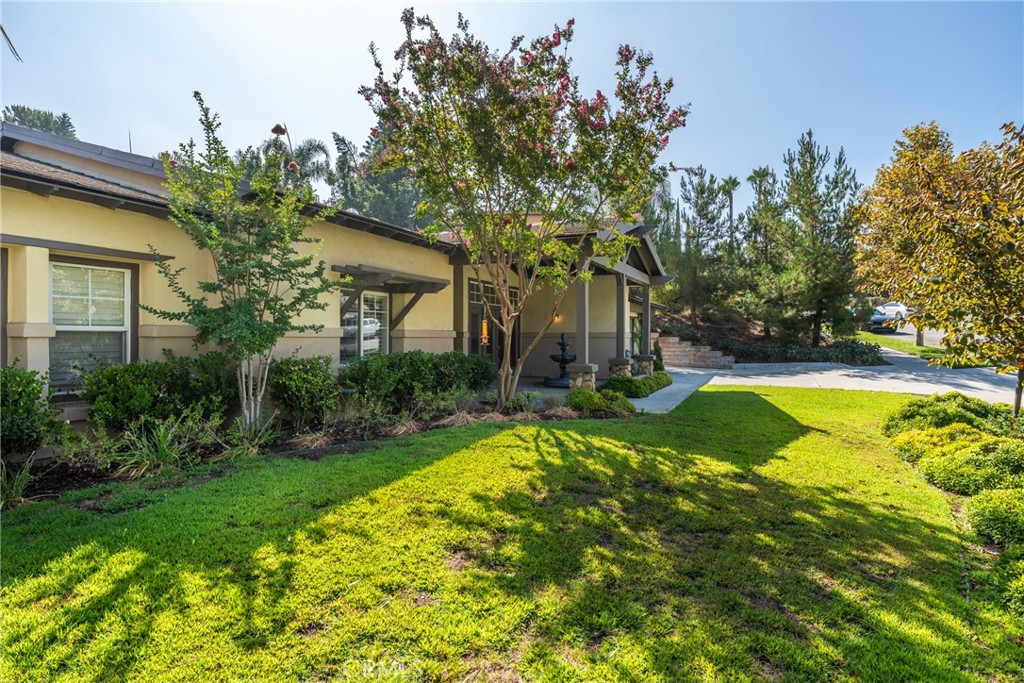 1435 Patricia Drive