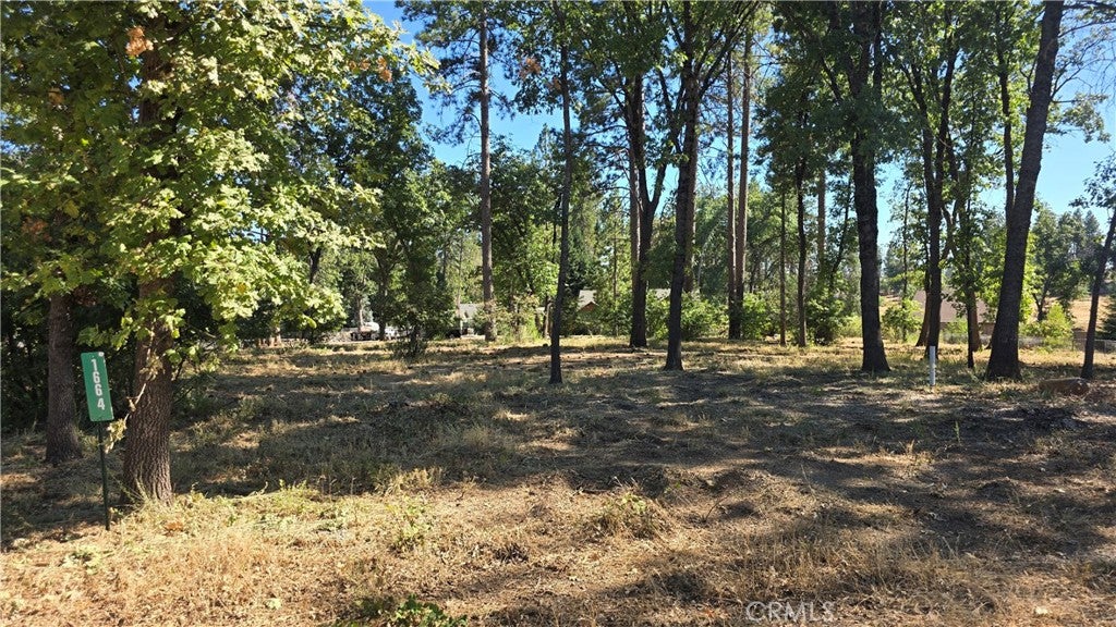 1664 Meadowbrook Lane