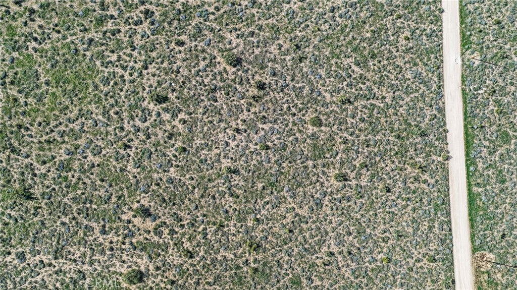 0 Laramie