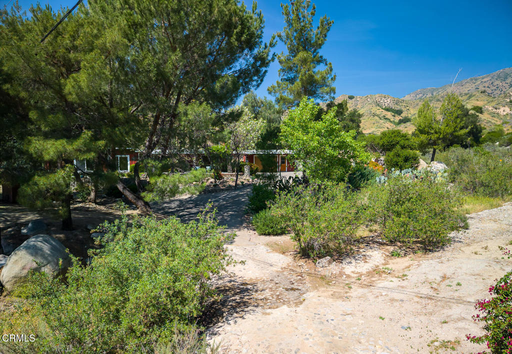 11461 Riverwood Drive