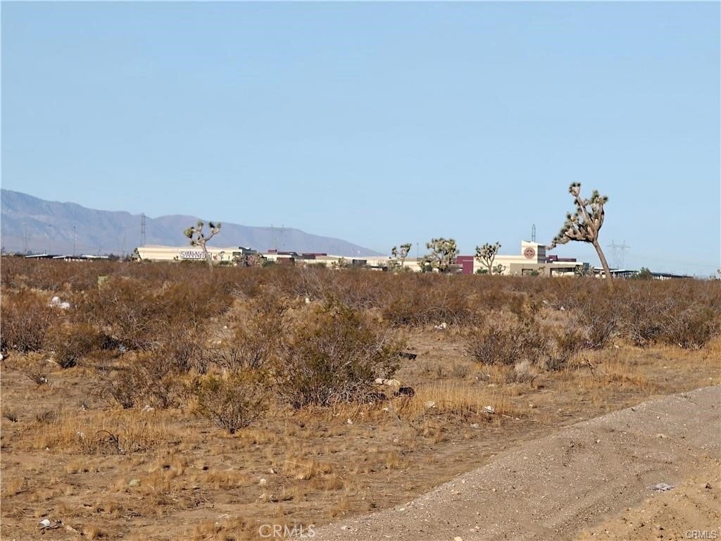 0 Cactus Road