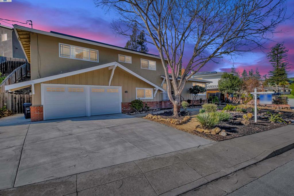 PROCTOR - Residential