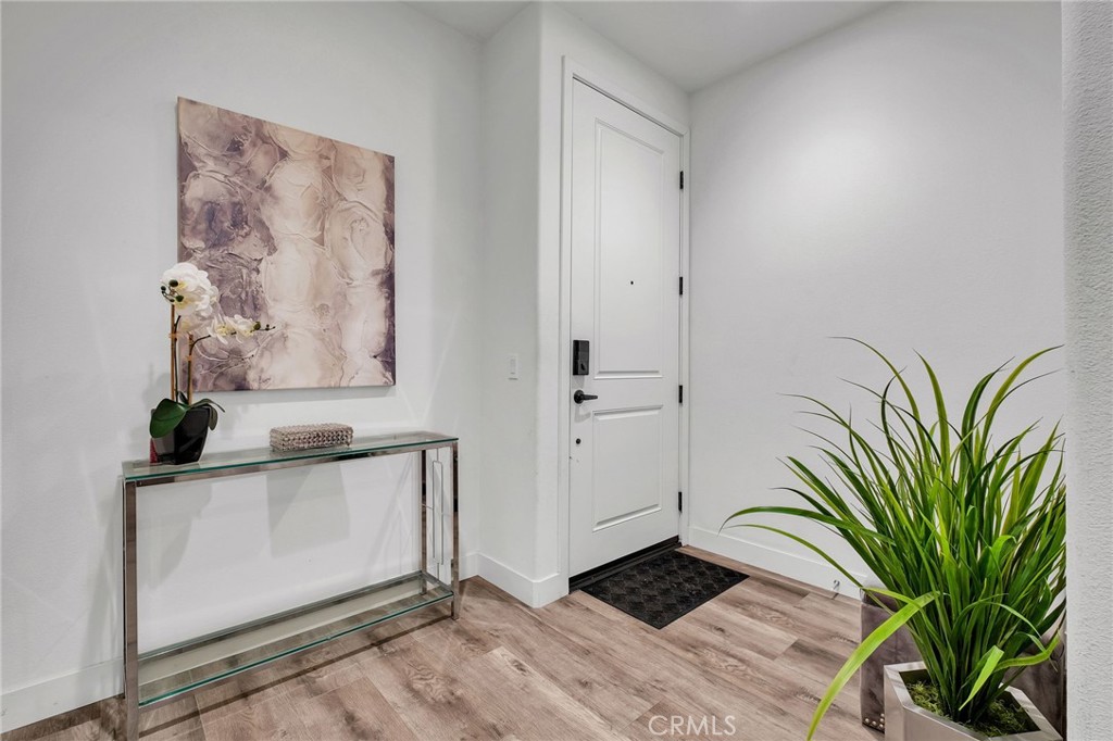 5919 Spring