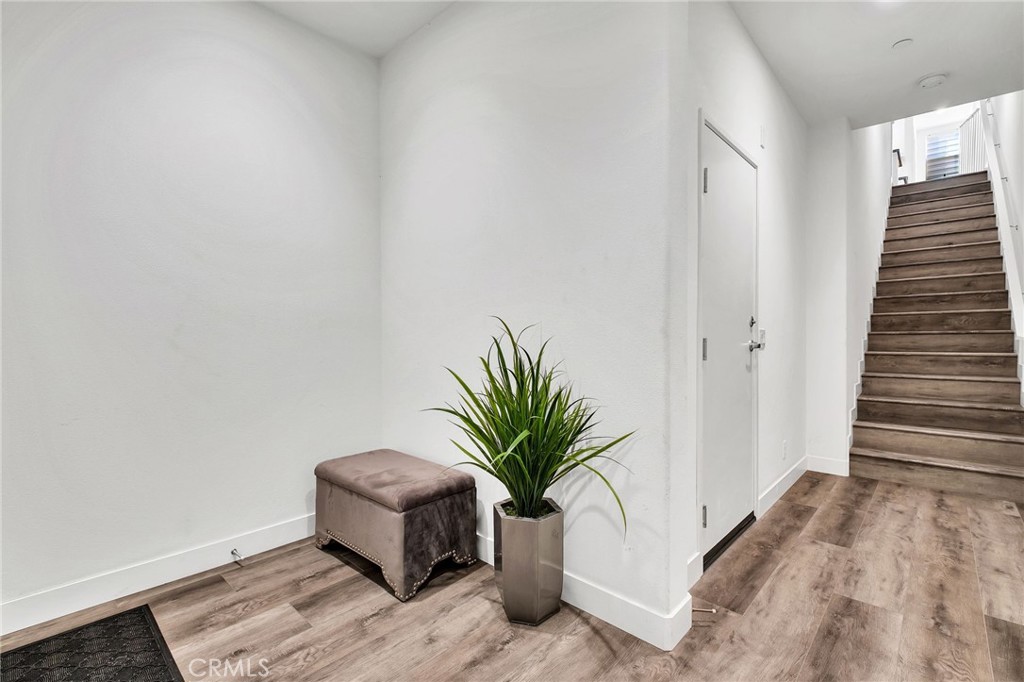 5919 Spring