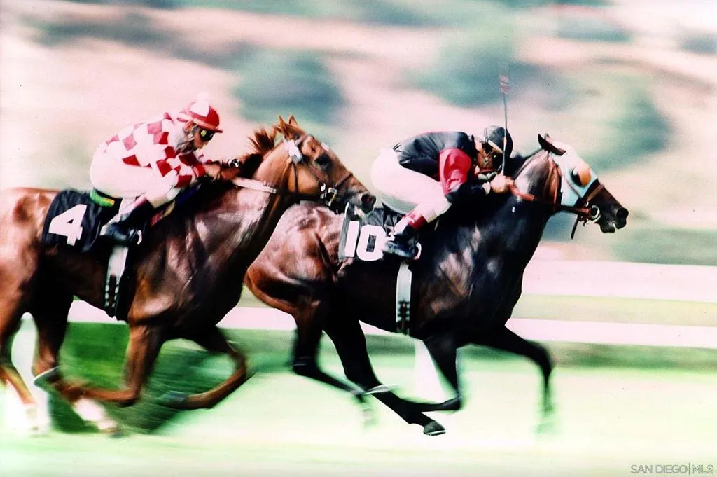 Del Mar, California 92014, United States, 2 Bedrooms Bedrooms, ,3 BathroomsBathrooms,Residential,Active,241350