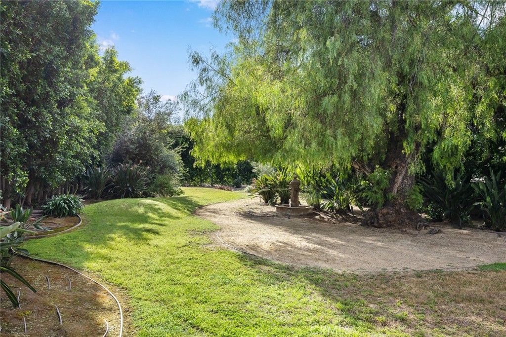 Arcadia, California, 91006, United States, 5 Bedrooms Bedrooms, ,6 BathroomsBathrooms,Residential,Active,2036030