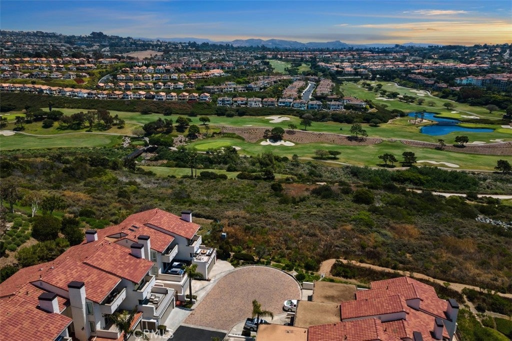23297 Pompeii, Dana Point CA 92629 - Photo 64