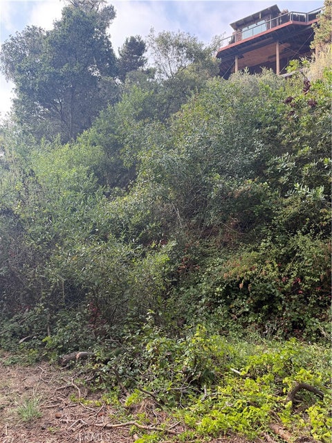 Tiny photo for 0 Sheffield, Cambria, CA 93428 (MLS # SC26180034)