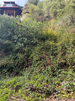 SHEFFIELD ST, CAMBRIA, CA 93428 - Image cb2a03e5675a08e1aea30cf0b747f06b/29926830