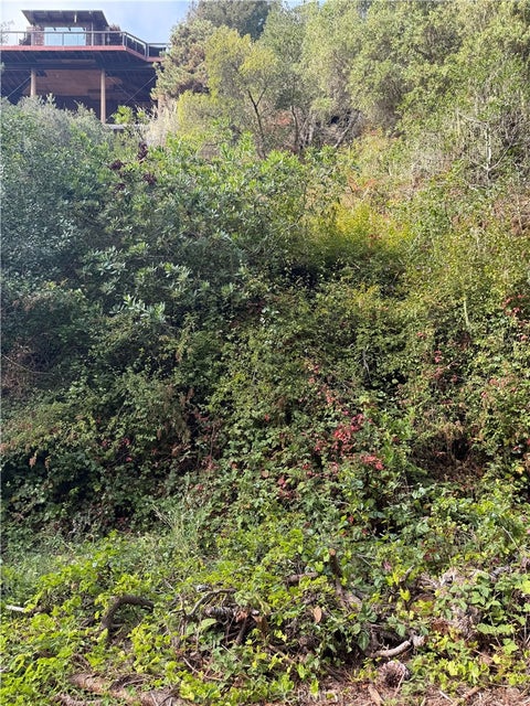 Photo of 0 Sheffield, Cambria, CA 93428 (MLS # SC26180034)