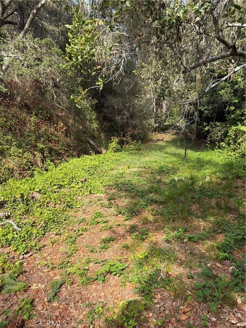 Tiny photo for 0 Sheffield, Cambria, CA 93428 (MLS # SC26180034)