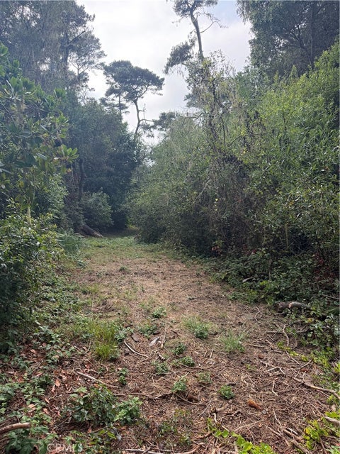 Tiny photo for 0 Sheffield, Cambria, CA 93428 (MLS # SC26180034)