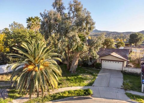 41105 felton court hemet ca 92544