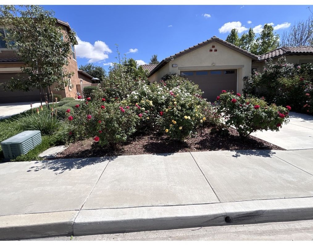 32461 Marietta Court