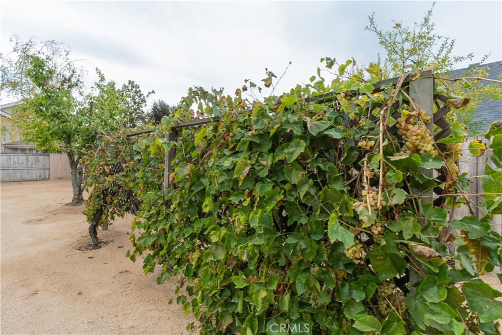 PR City Limits East(110) - Residential