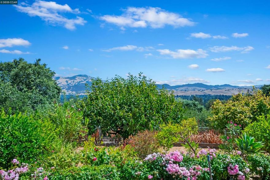 AMAZING NEW PRICE! Extraordinary westside Danville gated custom estate property on the market for the first time in 3 generations offers a wealth of possibilities to create the ultimate dream estate, subdivision, or family compound. Add vineyard, orchard, resort-inspired outdr amenities. 3.66 acres at the base of the Las Trampas Ridgeline was part of original ranch land. Awe-inspiring unobstructed 180-degree views encompass Mt. Diablo and scenic hillsides. 5500+/- SF. Open concept design. Great room. Walls of windows. Soaring exposed beam & 18-ft plank ceilings. White oak & marble tile flrs. Wood-burning frpl. Wet bar. Galley-style kitchen w/granite counters, Miele dual ovens, KitchenAid cooktop. Hand-carved Rosewood double dr entry. Seamless flow from just about every room to wrap-around loggia, pool, lush gardens, mature fruit, shade and oak trees. 5 en suite bdrms, 5 bths inclds private upper-level 1200+/-SF primary suite w/sitting room, view windows on 3 sides, dual walk-in closet rms & en suite w/dual vanities, tiled walls & flr, walk-in shwr. Gated circular driveway. 3-car detached garage. Deer fencing. Upgraded water htr. Upgraded furnace in primary suite. Laundry/mudrm w/frt access. Less than a mile from downtown, weekly farmers market, Iron Horse Trail, top-rated schls.