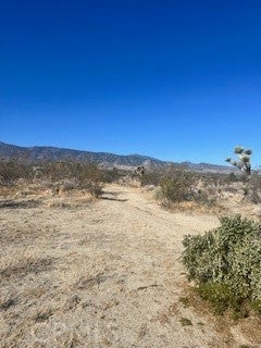 0 Pine Tree Road