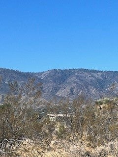 0 Pine Tree Road