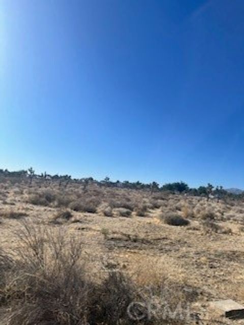 Photo of 0 Pine Tree Road, Pinon Hills, CA 92372 (MLS # HD25127927)