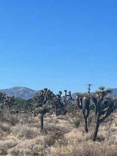 0 Pine Tree Road