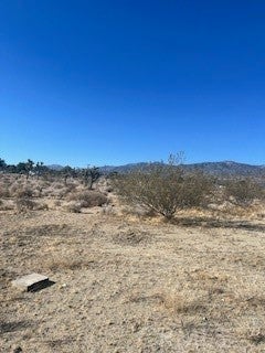 0 Pine Tree Road
