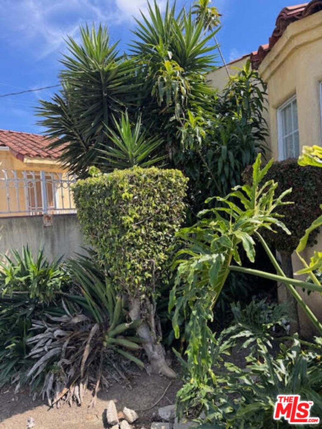 Photo of 8900 S Harvard Boulevard, Los Angeles, CA 90047 (MLS # 26684407)