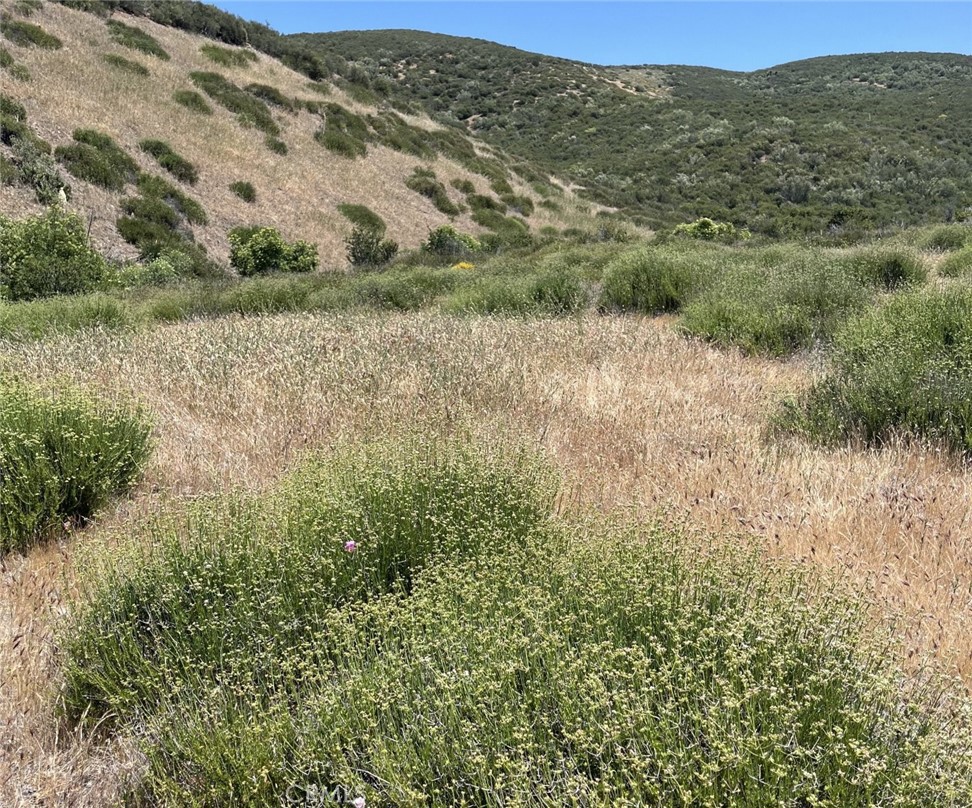 Own over 21 acres of natural beauty in Palmdale. This expansive parcel offers scenic rolling hills, open fields, and endless views of the surrounding landscape—perfect for those seeking privacy, potential, and space to create something truly special. Whether you're looking to build a custom home, invest in land, or hold for future opportunity, this lot delivers rare scale in a peaceful and picturesque setting. With nearby access to major roads and conveniences, this property combines rural serenity with practical proximity. A rare find for visionaries and investors alike. Buyer to verify all.