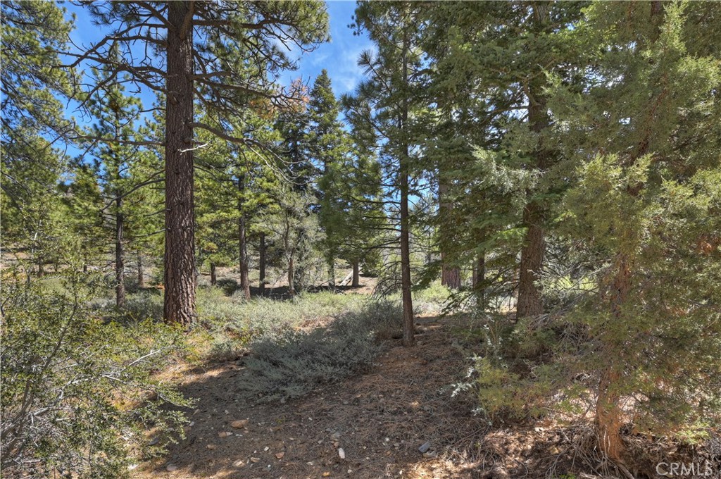 1099 Canyon