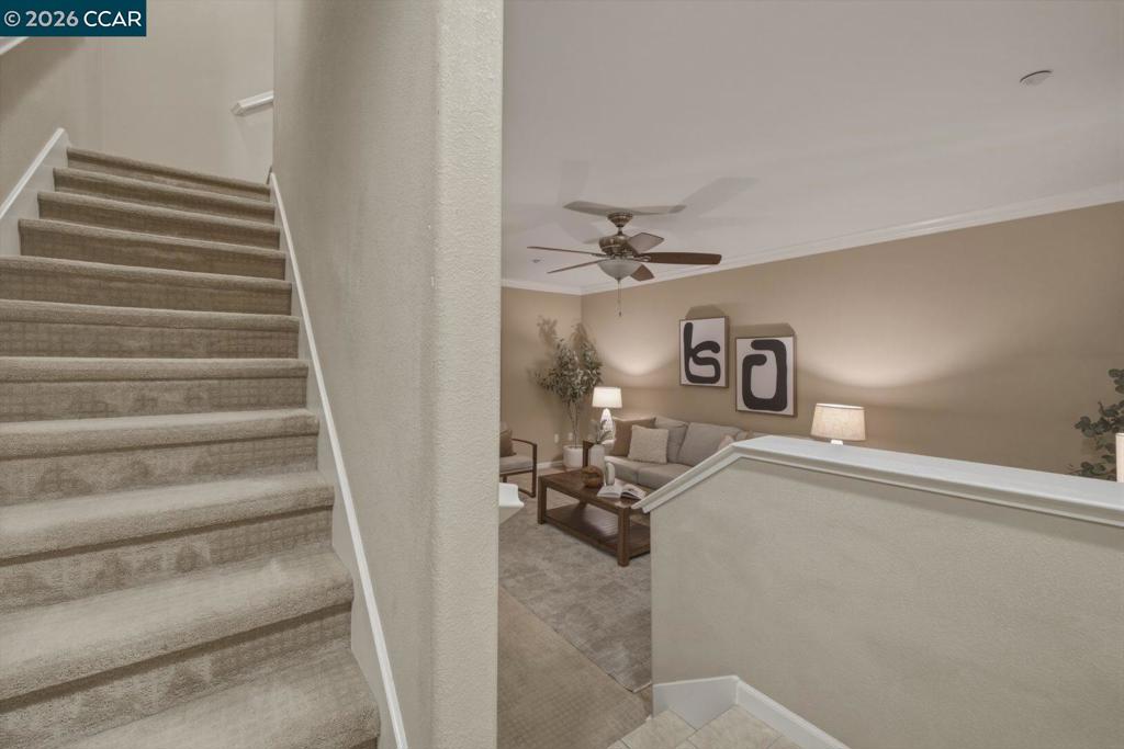 175 Selby Ln 7