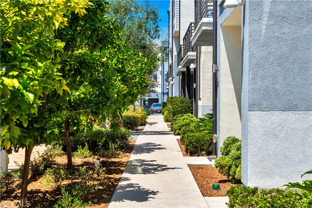 310 Placemark