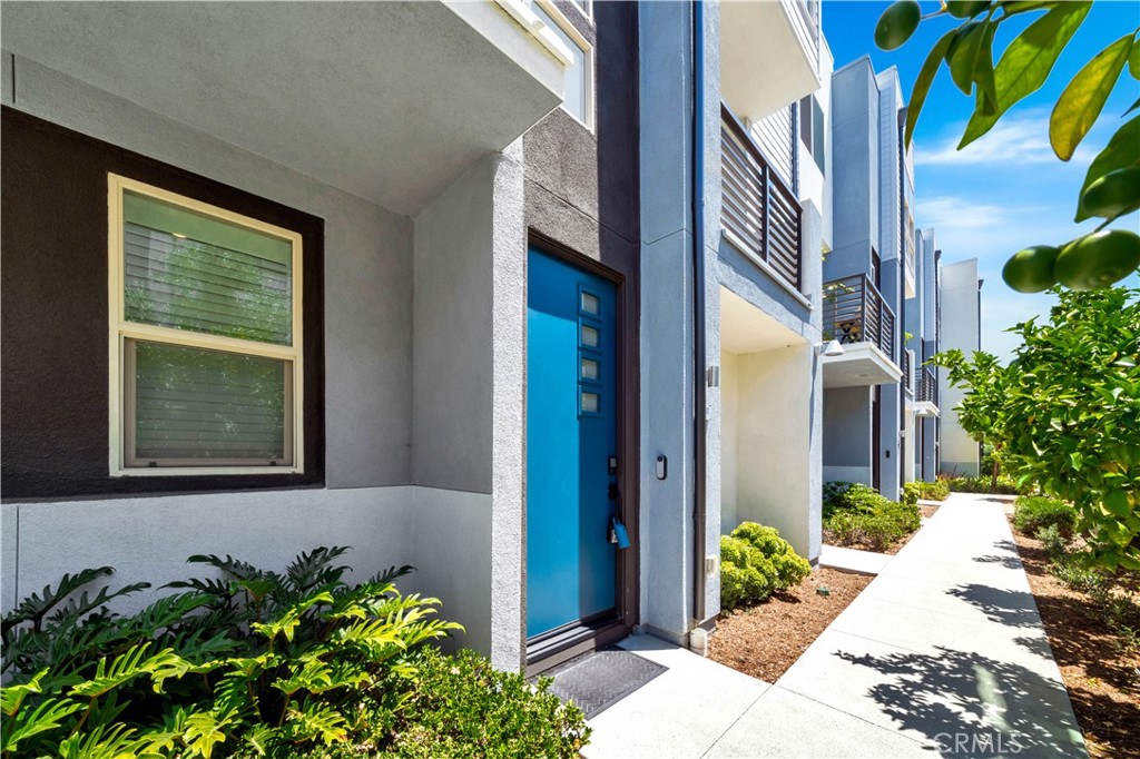 310 Placemark