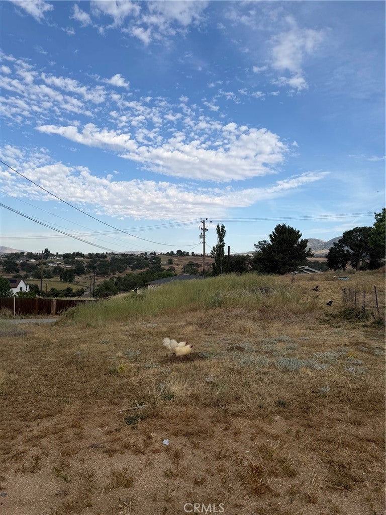 22117 Mccarthy