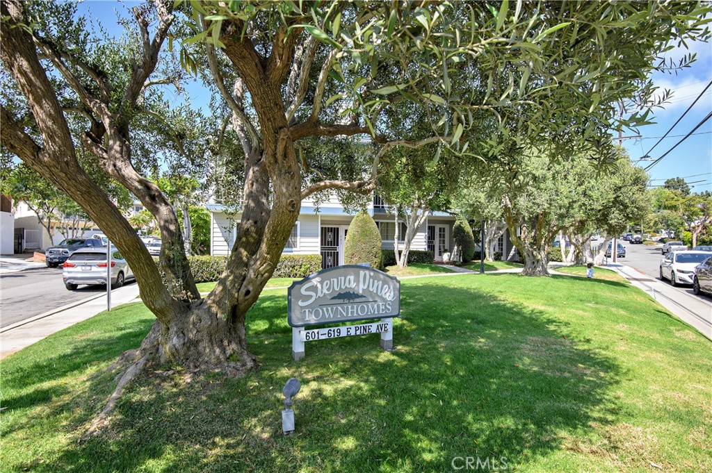 617 E Pine Avenue