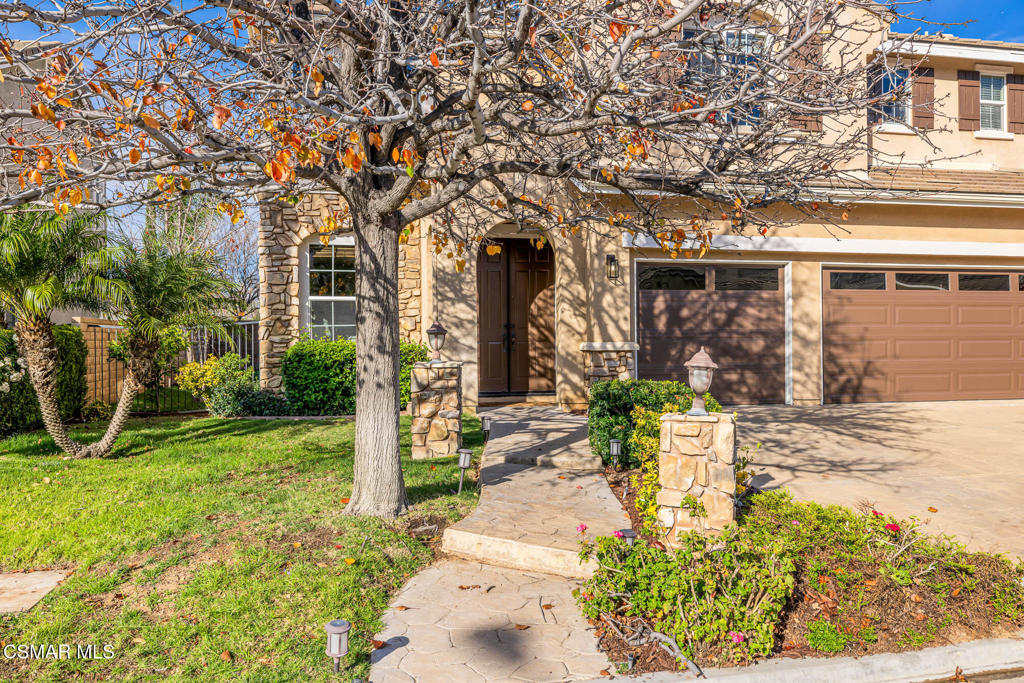 5353 Willow Oak Street