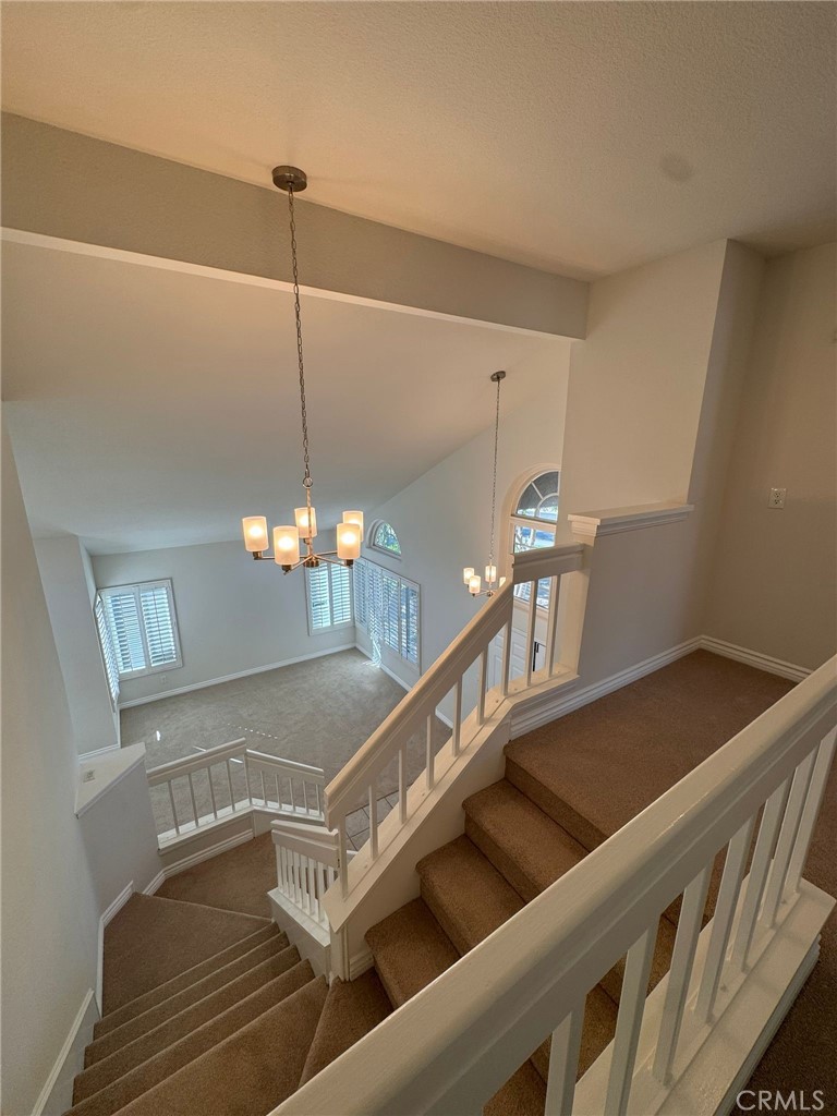 24471 Saradella Court