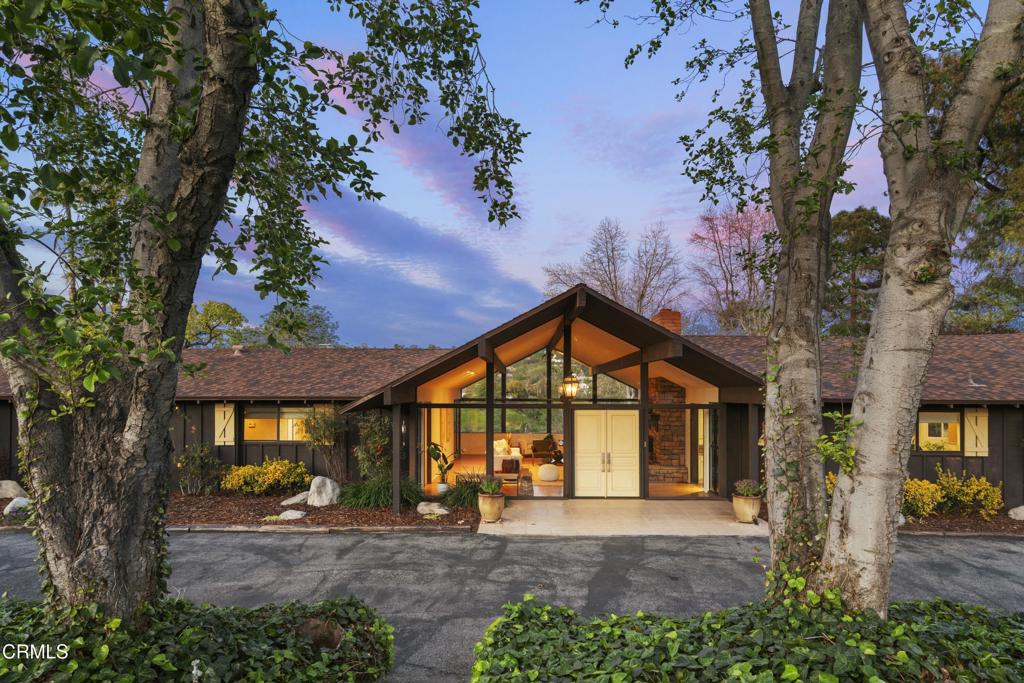 230 Avocado Place