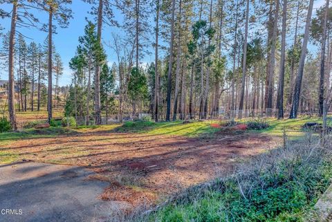 Photo of 1584 Wagstaff Road, Paradise, CA 95969 (MLS # V1-28050) Photo of 1584 Wagstaff Road, Paradise, CA 95969 (MLS # V1-28050)