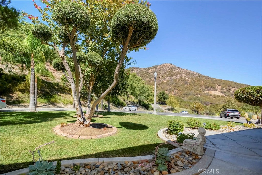 26732 Golden Cup Court