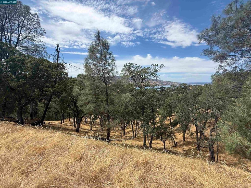 1123 Steele Canyon Rd.