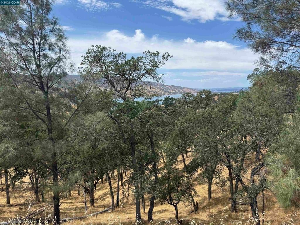 1123 Steele Canyon Rd.