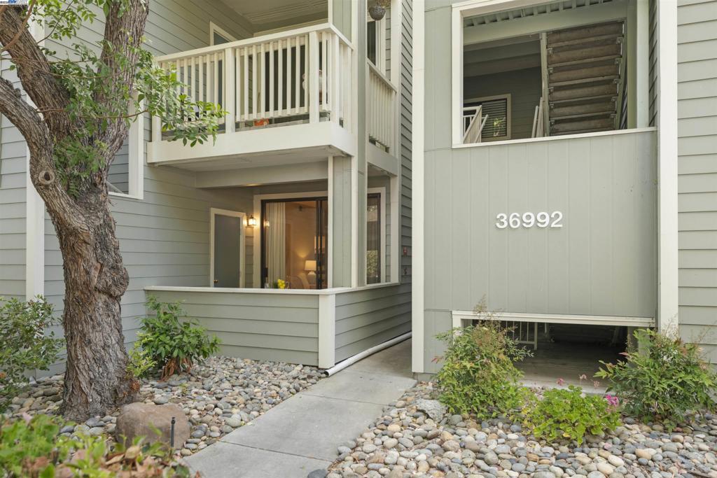 36992 Meadowbrook Cmn 102