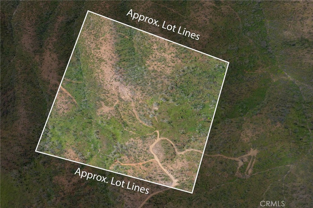 39 Acres Buckingham Mountain Road