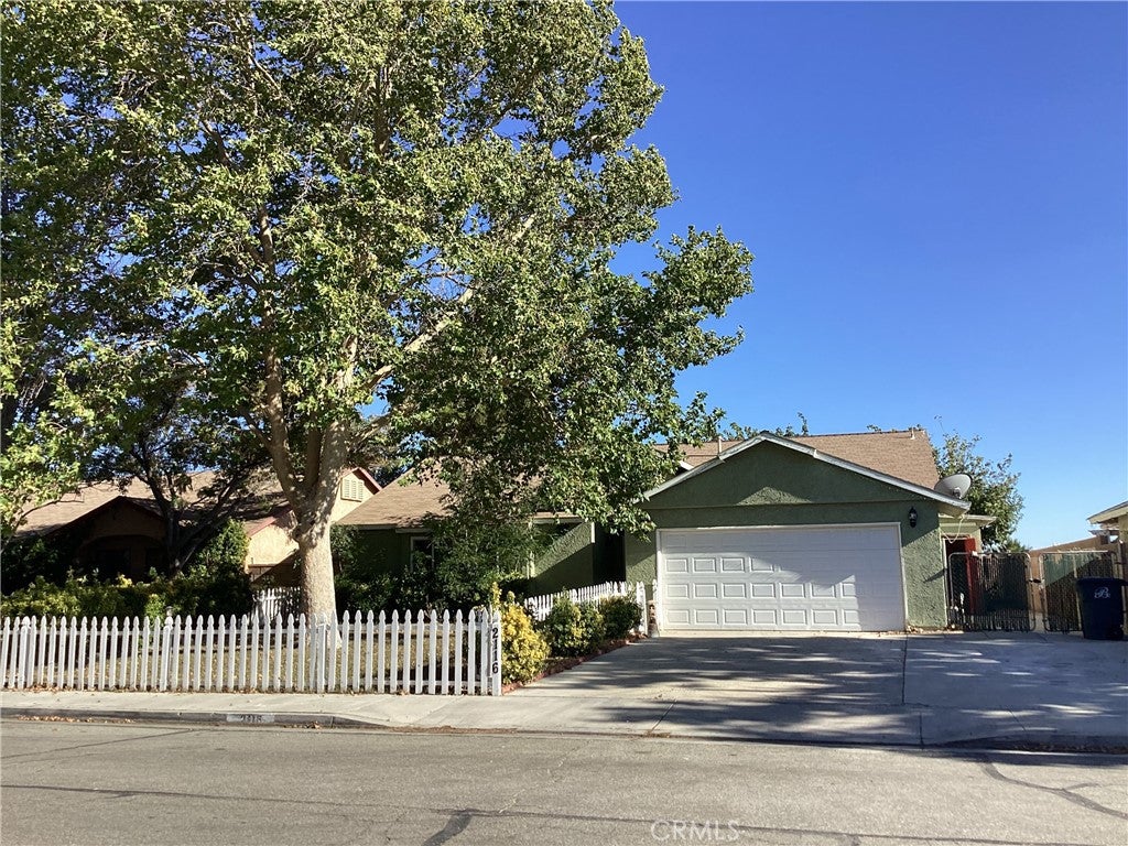 2116 Phlox
