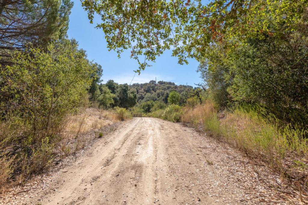 286 San Benancio Road